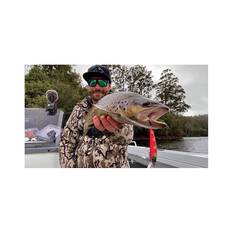 Hawk Sniper Hard Body Lure 60S Metallic Ayu, Metallic Ayu, bcf_hi-res