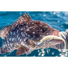 Daiwa Bait Junkie Finesse 0X Jig Heads, , bcf_hi-res