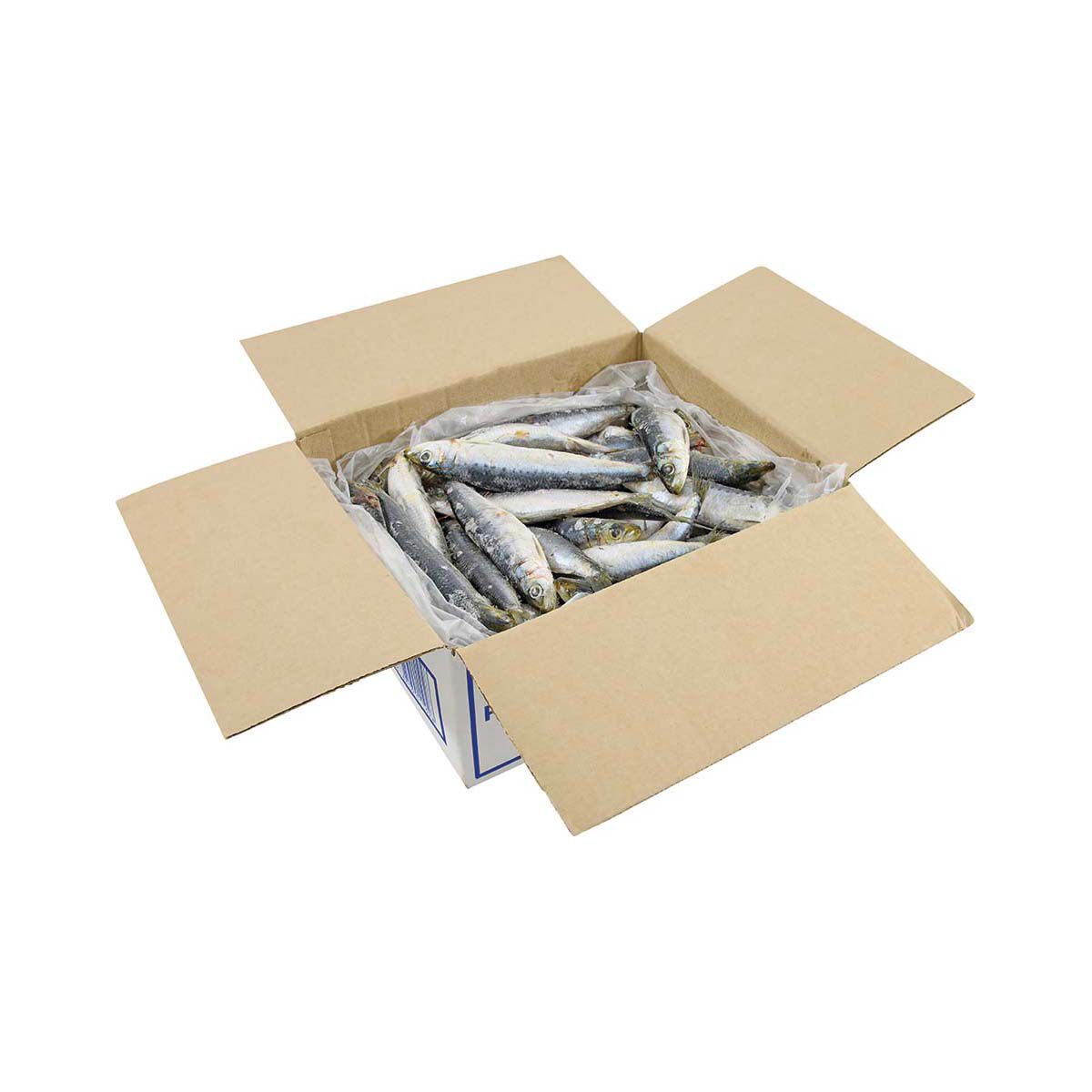 Tweed Bait IQF WA Pilchards 4kg, , bcf_hi-res