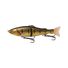 Golden Gudgeon