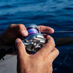 Nomad Panderra X8 Braid Multi 150yds, Multi, bcf_hi-res