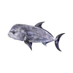 BCF Giant Trevally 120cm Plush Toy, , bcf_hi-res