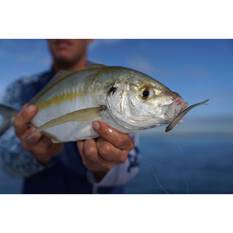 Pro Lure Prey Minnow Soft Plastic Lure 160mm Chopper UV, Chopper UV, bcf_hi-res