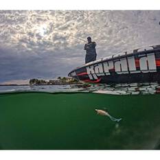 Rapala CrushCity Creeper Soft Plastic Lure 2.5in Bloodworm UV, Bloodworm UV, bcf_hi-res