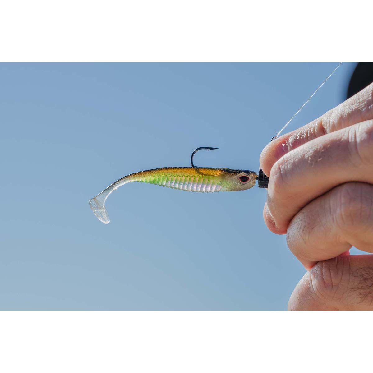 Nomad Live Ops Spectre Minnow Soft Plastic Lure 3.25in Arkansas Shiner, Arkansas Shiner, bcf_hi-res