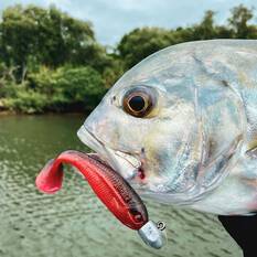 Rapala CrushCity Heavy Hitter Soft Plastic Lure 4in Pearl Watermelon, Pearl Watermelon, bcf_hi-res
