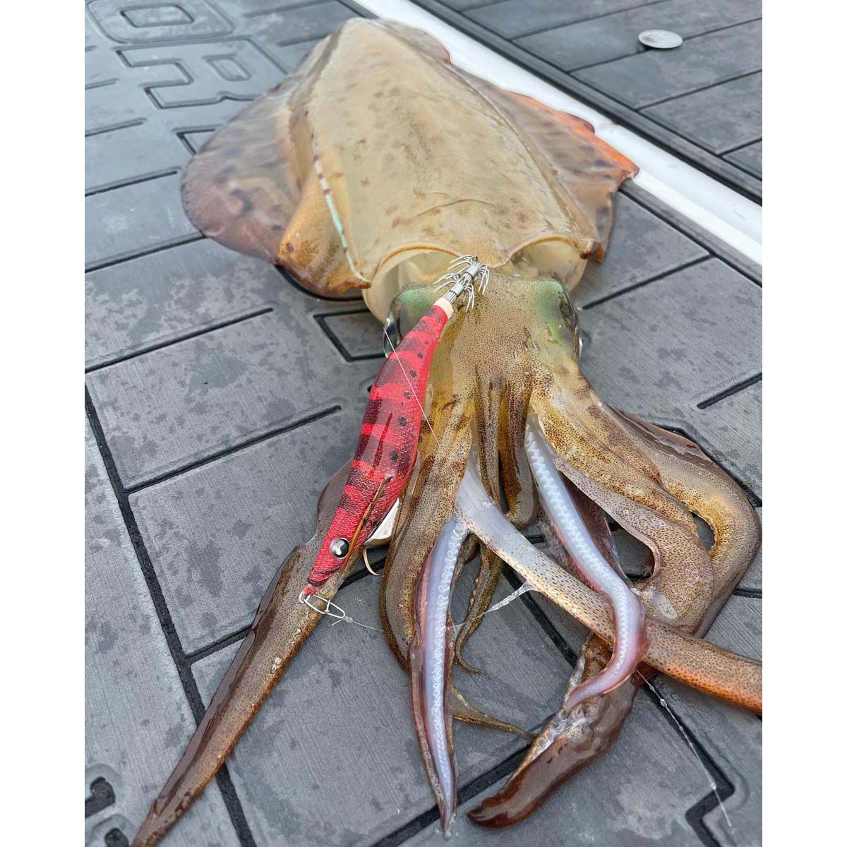 Yamashita EGI OH F Squid Jig 3.5 Solid Red 3.5, Solid Red, bcf_hi-res