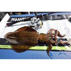 Shimano Sephia Flash Boost Squid Jig 3.5 Col 16, Col 16, bcf_hi-res