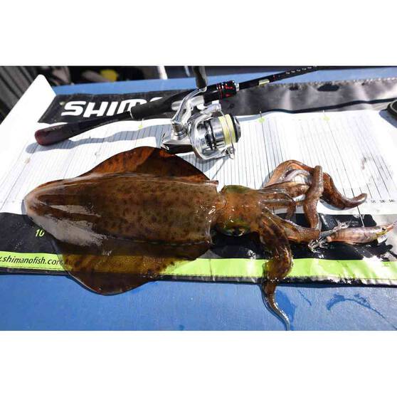 Shimano Sephia Flash Boost Squid Jig 3.5 Col 16, Col 16, bcf_hi-res
