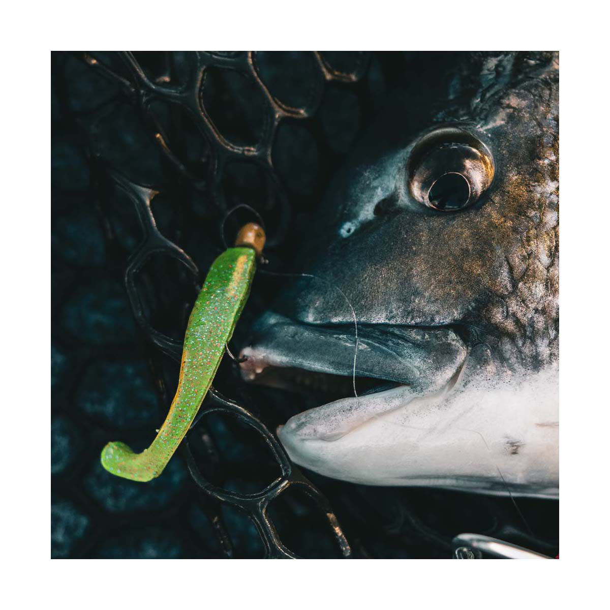 TT Fishing HeadlockZ Finesse UV Jigheads Orange, , bcf_hi-res