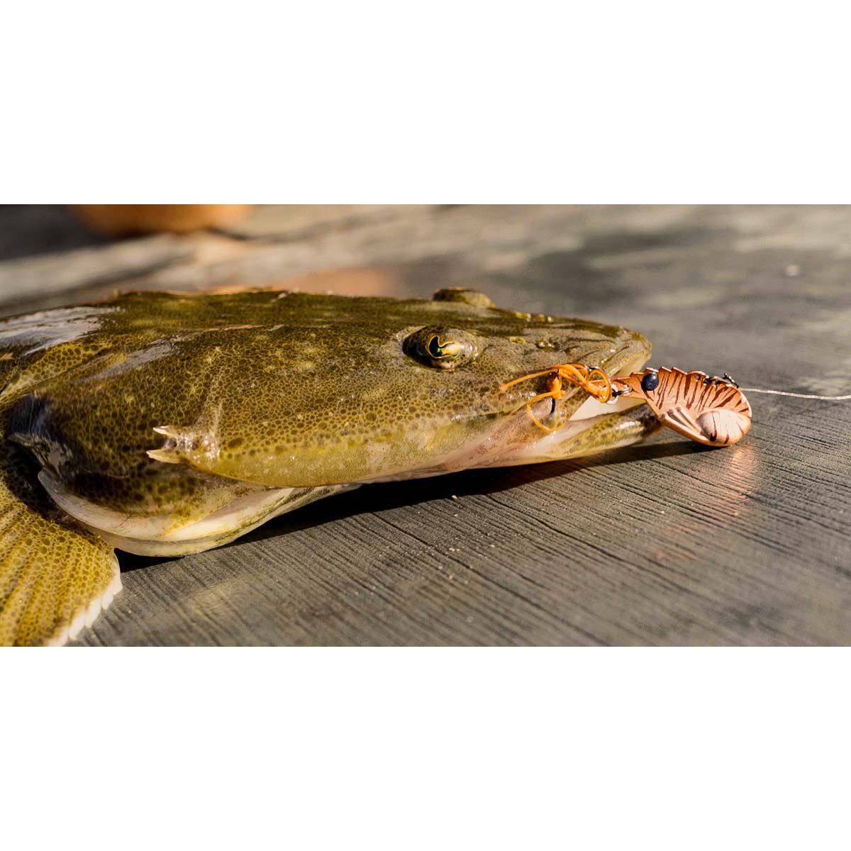 TT Fishing Switchprawn Blade Lure 50mm Flamin Tiger, Flamin Tiger, bcf_hi-res