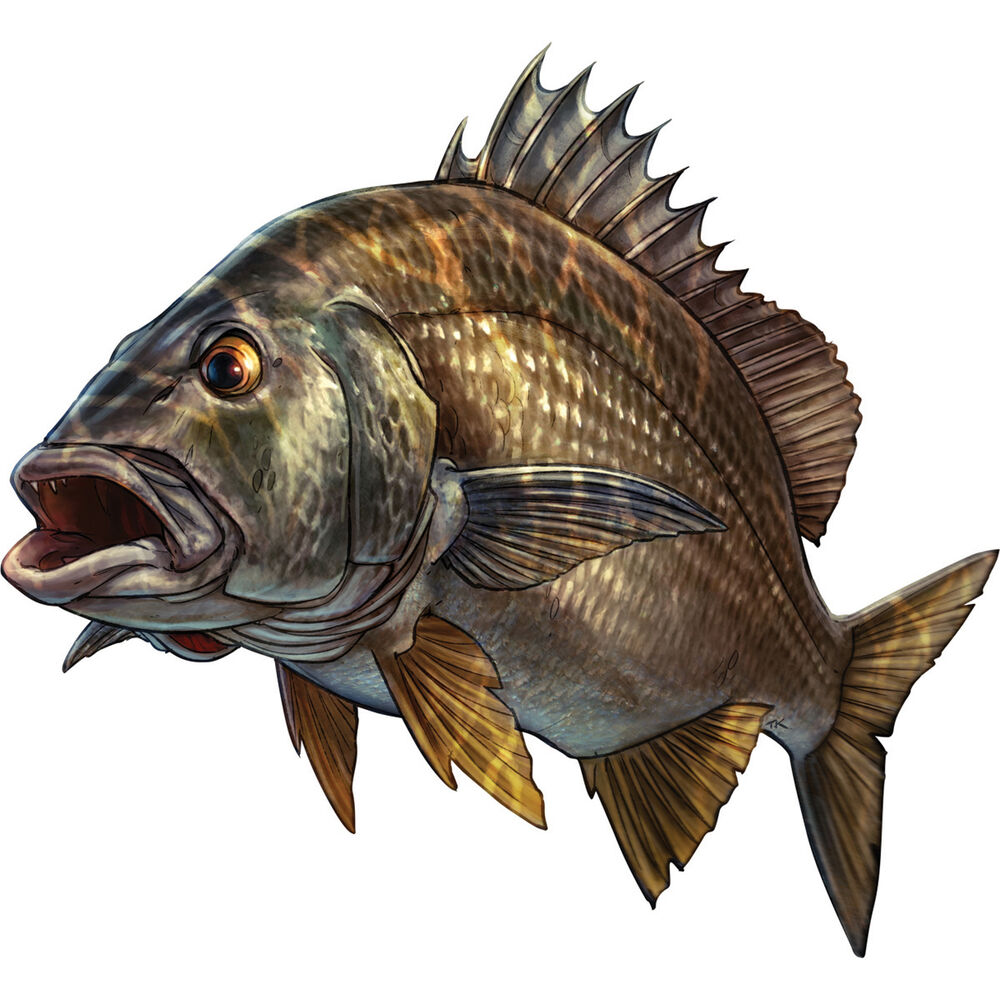 Savage Flathead Sticker Large 2 Pack BCF