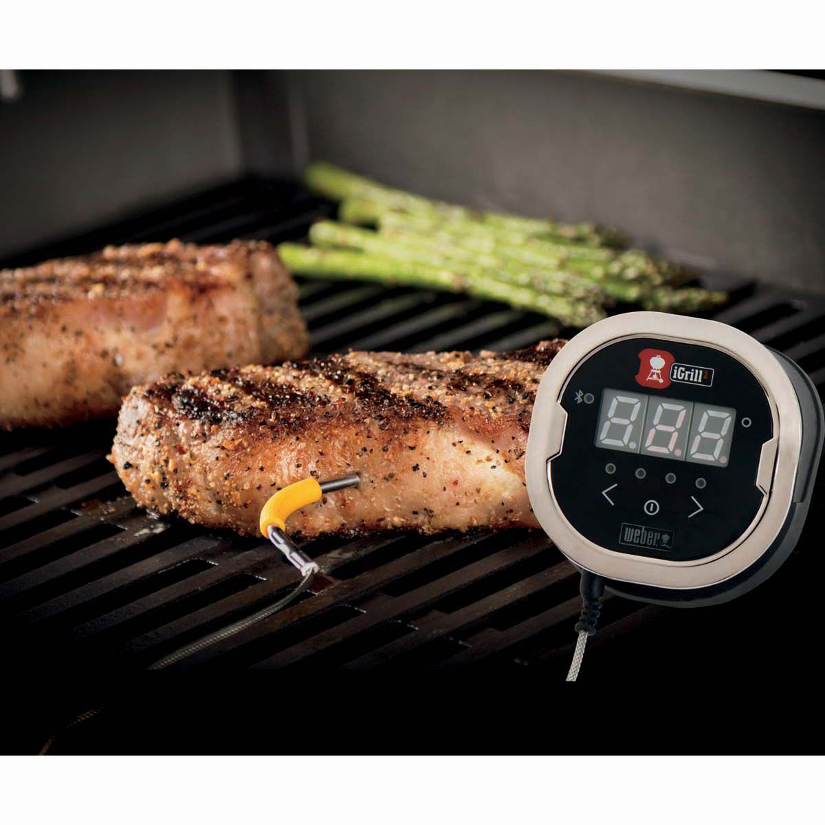 Weber iGrill Pro Meat Probe