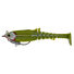 Baitfish