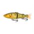 Gold Gudgeon