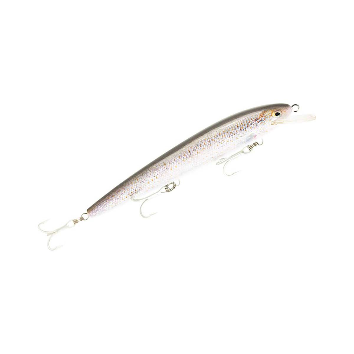 Raptor Live Dominator Hard Body Lure 7in Spangled Perch, Spangled Perch, bcf_hi-res