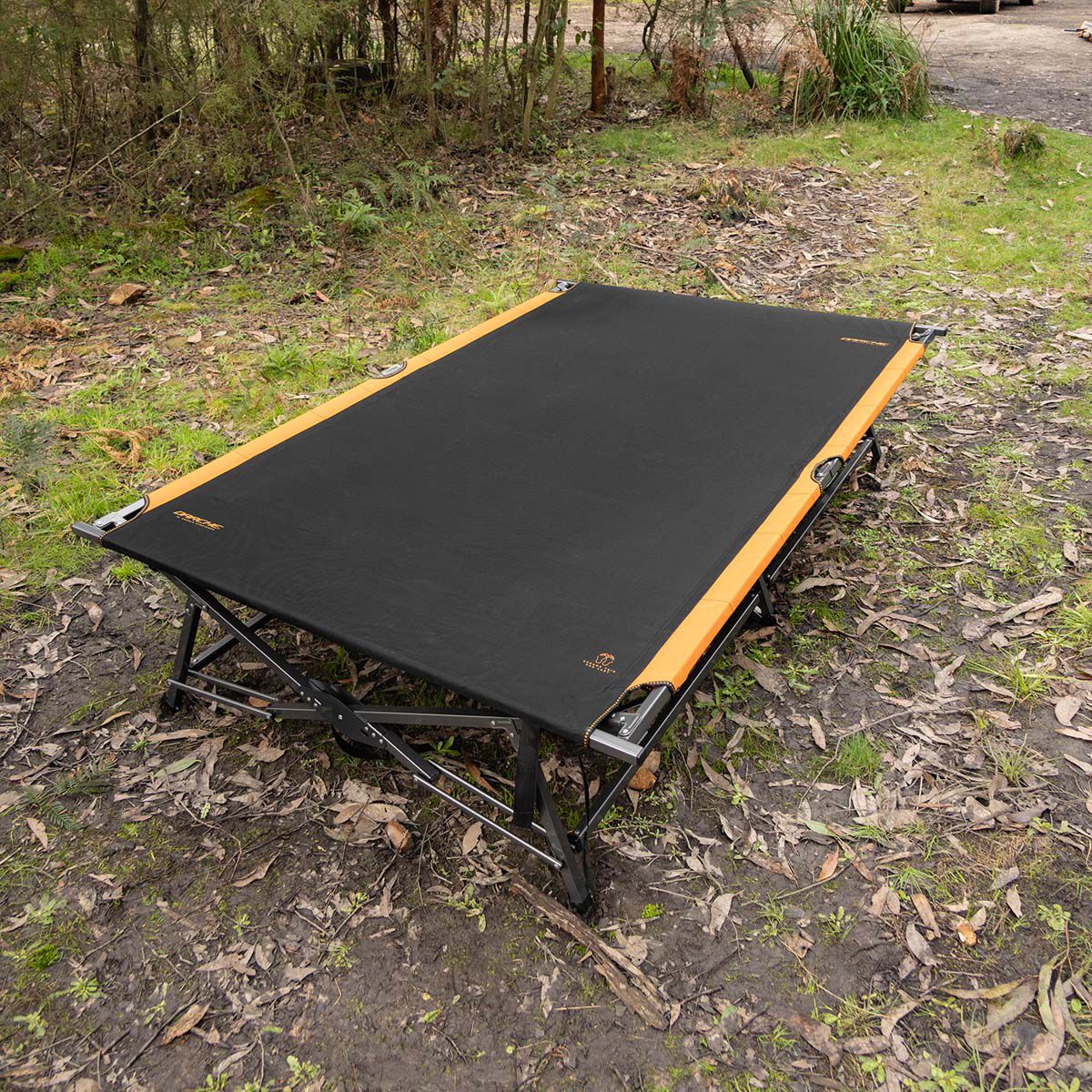 Bcf stretcher outlet