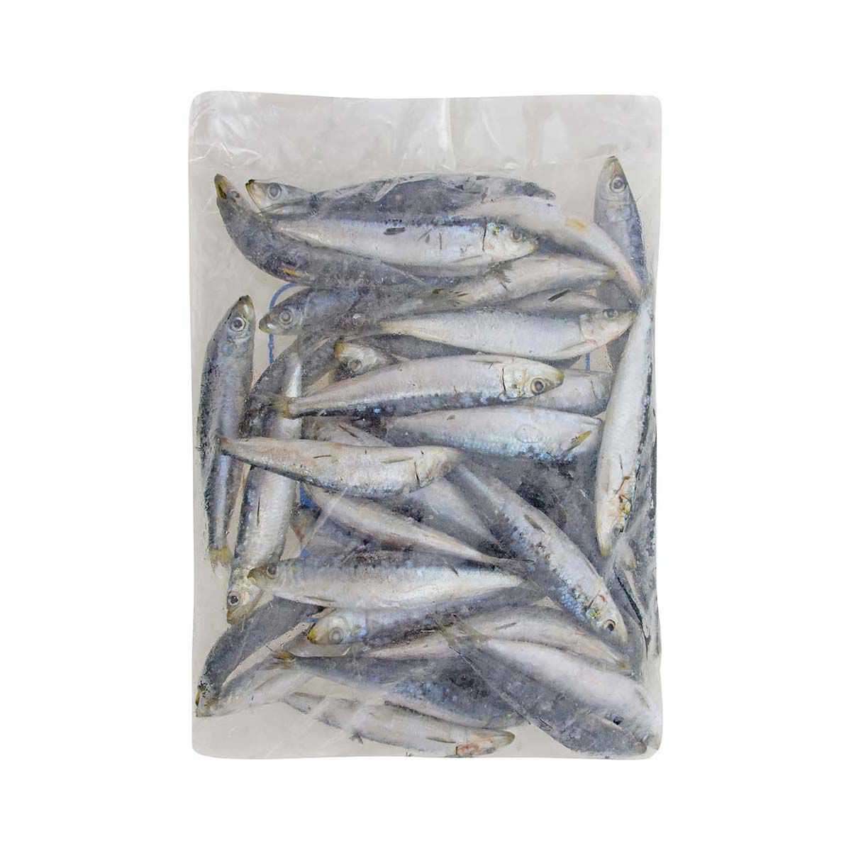 Tweed Bait IQF Pilchards 2kg, , bcf_hi-res