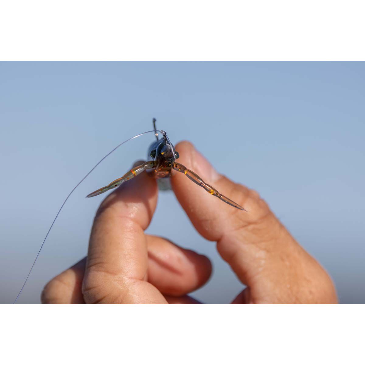 Berkley PowerBait Shrimp Soft Plastic Lure 2in Blue Shiner Gold, Blue Shiner Gold, bcf_hi-res