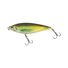 Olive Back Shad