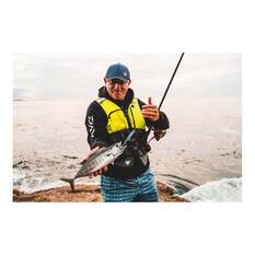 Daiwa Seabass Surf Rod, , bcf_hi-res