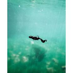 Nomad Live Ops Radiax Soft Plastic Lure 2.25in Watermelon Red, Watermelon Red, bcf_hi-res