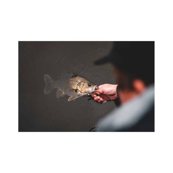 Daiwa Bait Junkie 2X Jig Heads, , bcf_hi-res