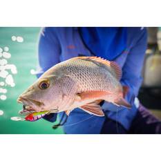 Halco TB55 Hard Body Lure 55mm Silver Shadow, Silver Shadow, bcf_hi-res