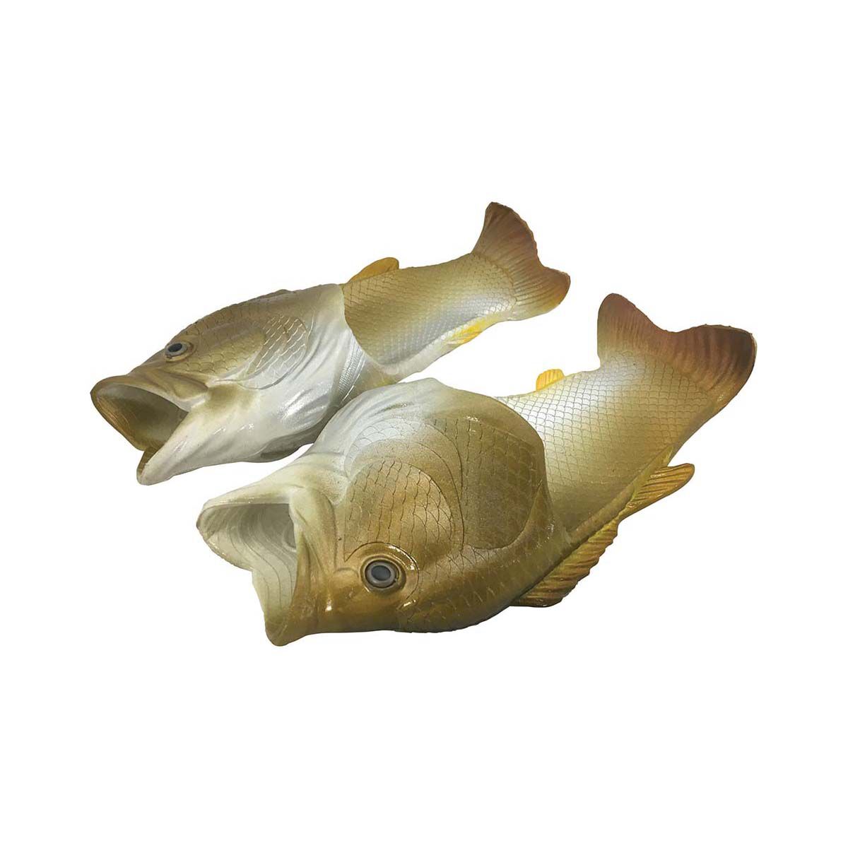 Barramundi Fish Feet