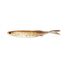 Arkansas Shiner