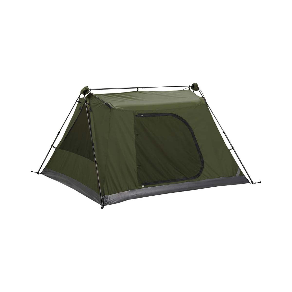 Bcf coleman tent shop