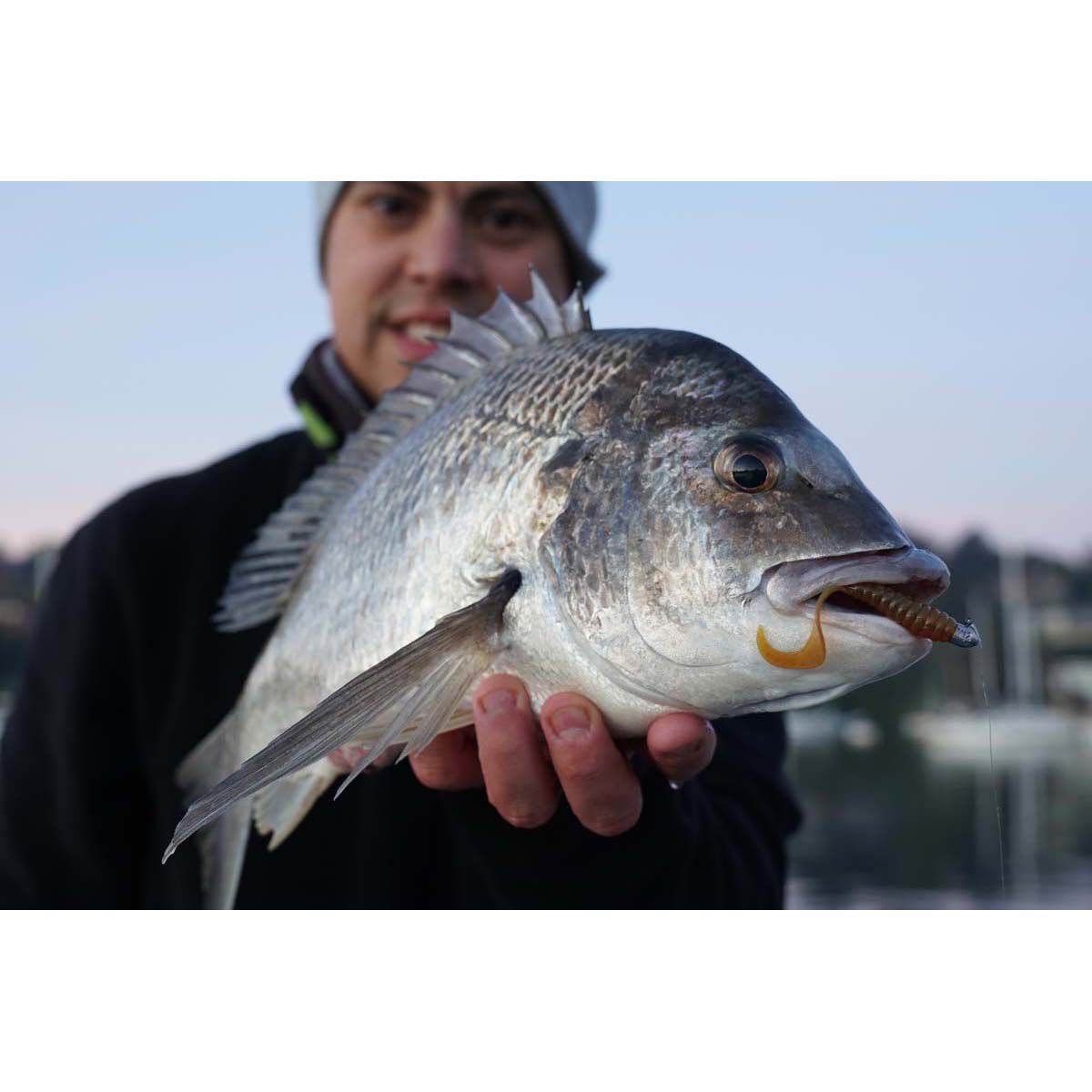 Pro Lure Grub Soft Plastic Lure 60mm Motor Oil, Motor Oil, bcf_hi-res