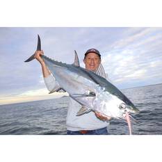 Berkley Gulp! Jerkshad Soft Plastic Lure 9in Pearl White, Pearl White, bcf_hi-res
