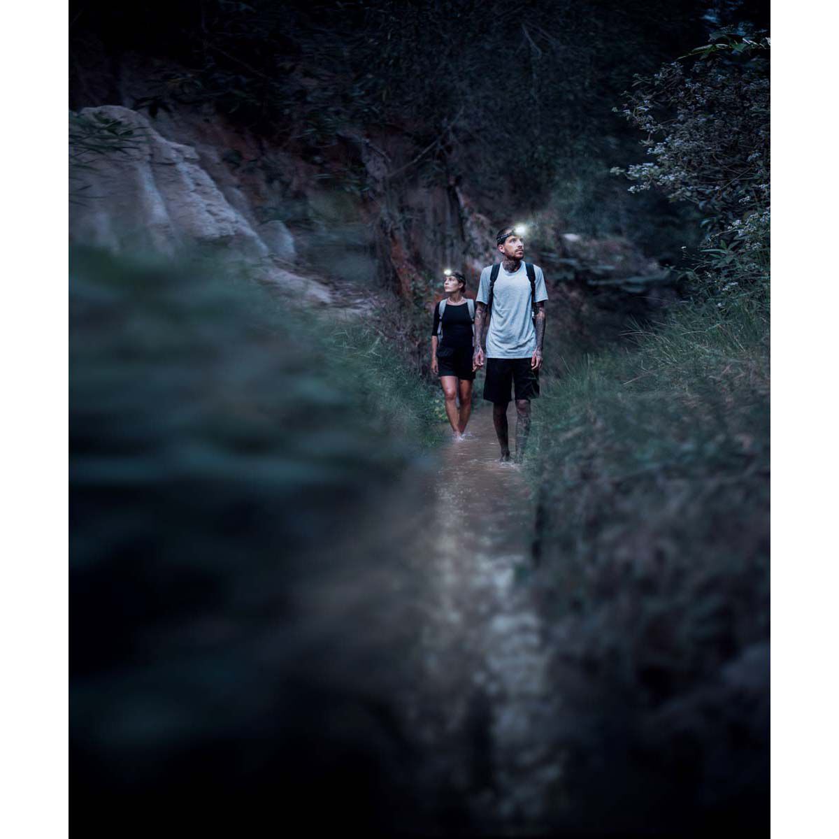 Ledlenser HF8R Signature Headlamp, , bcf_hi-res