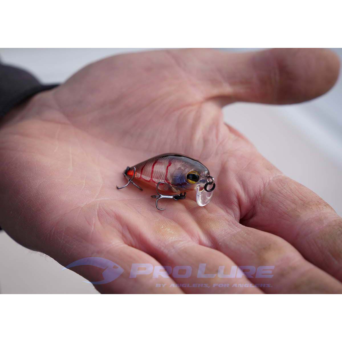 Pro Lure Crank S Hardbody Lure 36mm Combat, Combat, bcf_hi-res