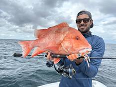 Nomad Squidtrex Jig Lure 95mm Tiger, Tiger, bcf_hi-res