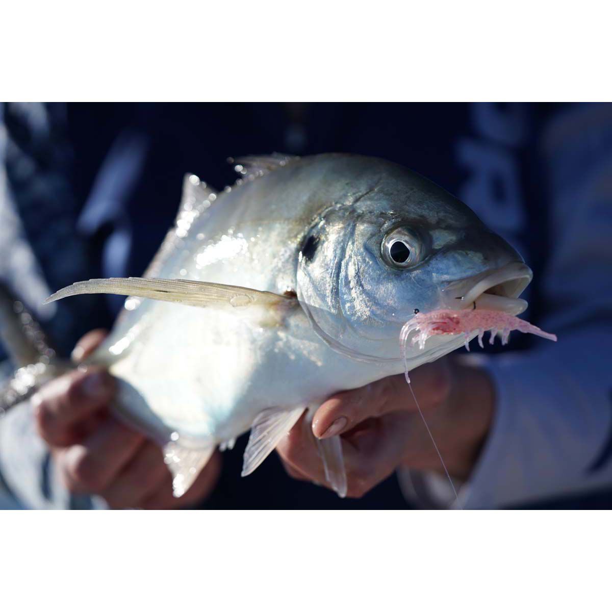 Pro Lure Clone Prawn Soft Plastic Lure 92mm Jelly Prawn UV, Jelly Prawn UV, bcf_hi-res