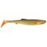 Carp