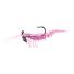 Pink Shrimp
