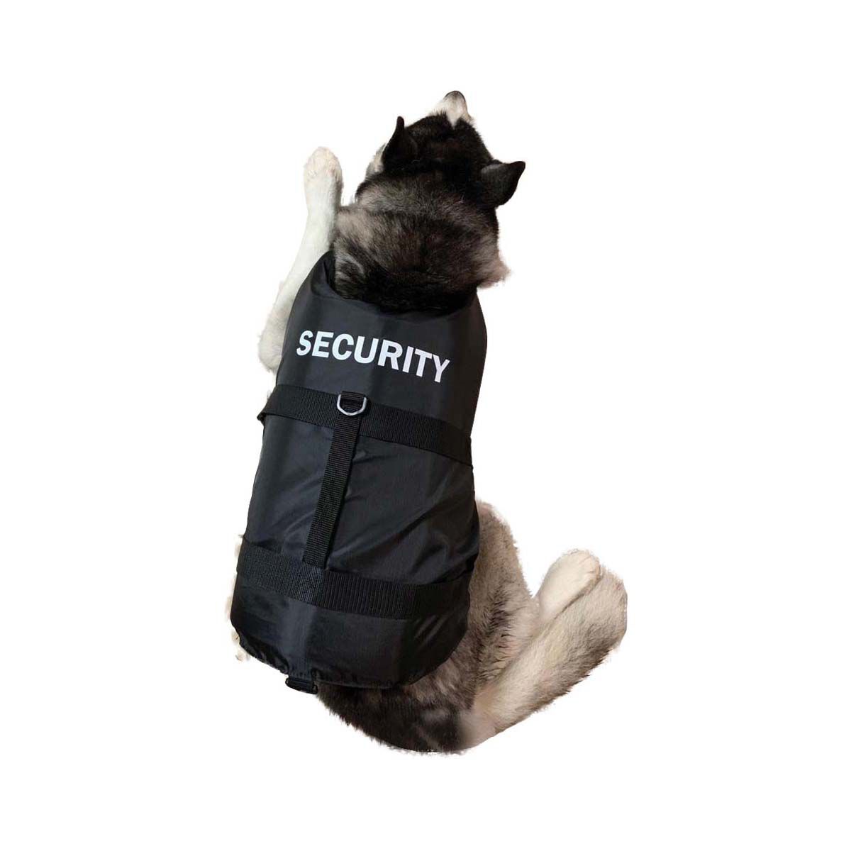 marlin dog life jacket