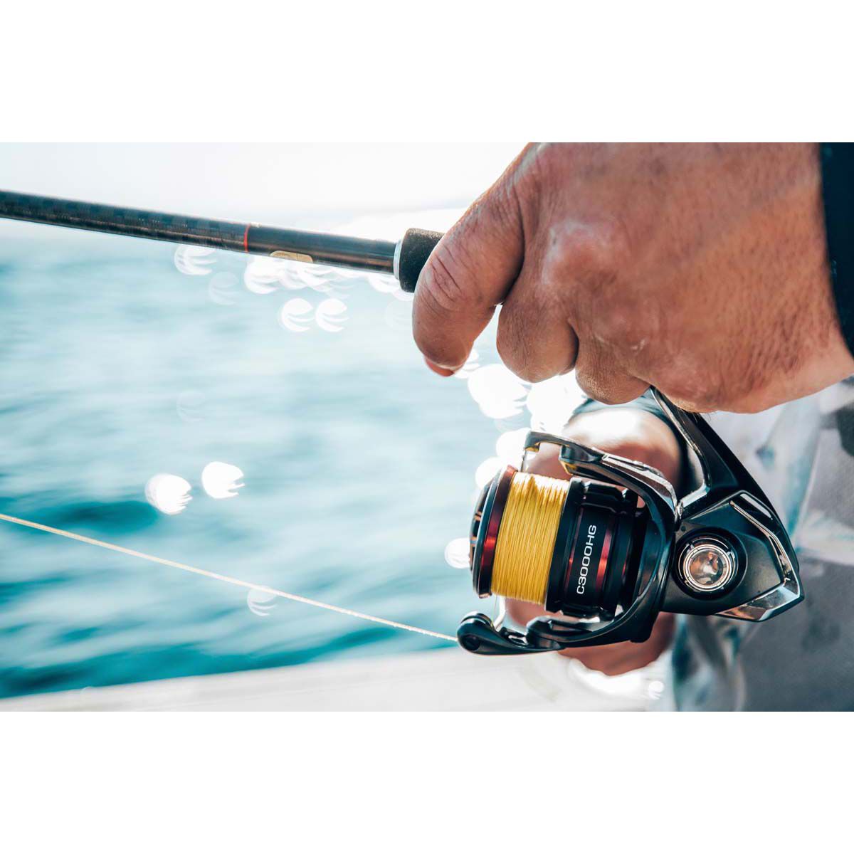 Shimano online vanford 3000
