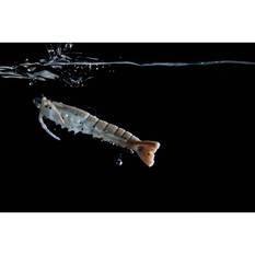 Berkley Gulp! Shrimp Soft Plastic Lure 2in Natural, Natural, bcf_hi-res