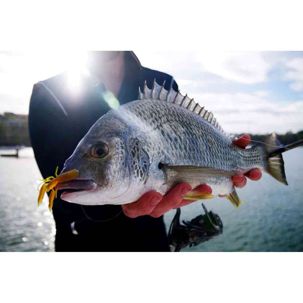 Pro Lure Live Yabby Soft Plastic Lure 60mm Pink Nipper, Pink Nipper, bcf_hi-res