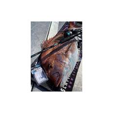 BKK Octopus Beak Hook Black 25 Pack, , bcf_hi-res