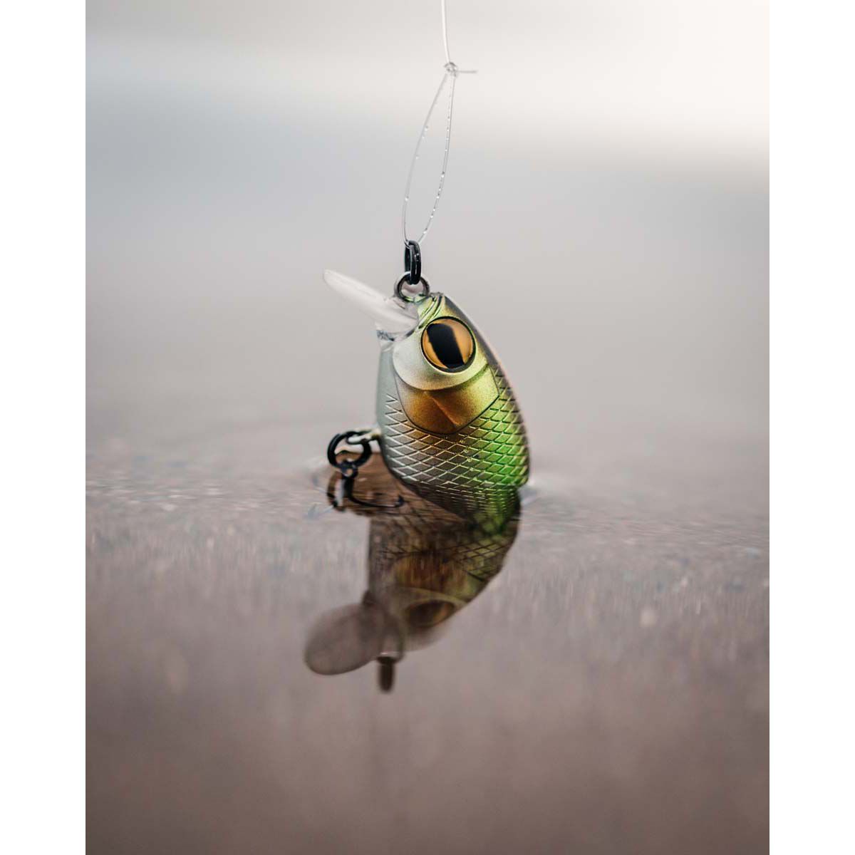 Pro Lure Crank D Hardbody Lure 36mm Matt Black, Matt Black, bcf_hi-res