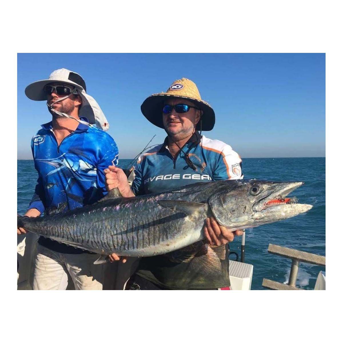 SFT Takumi Hard Body Lure 75mm Pilchard, Pilchard, bcf_hi-res