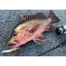 MMD Splash Prawn Surface Lure 95mm Lime Tiger, Lime Tiger, bcf_hi-res