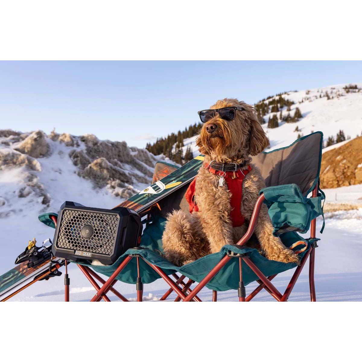 ECOXGEAR Defender 12V Speaker Black, Black, bcf_hi-res