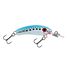Pilchard