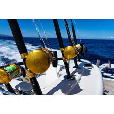Penn International 30VISW Overhead Reel, , bcf_hi-res